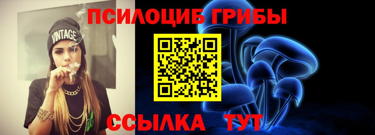 Псилоцибиновые грибы прущие грибы Симферополь