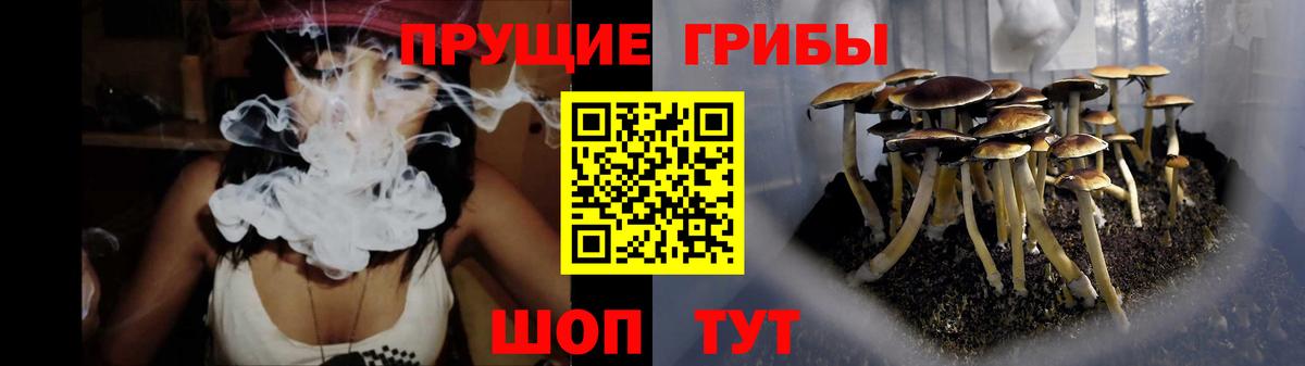 Симферополь  Галлюциногенные грибы ЛСД  Вход с VPN  Галлюциногенные грибы MAGIC MUSHROOMS 