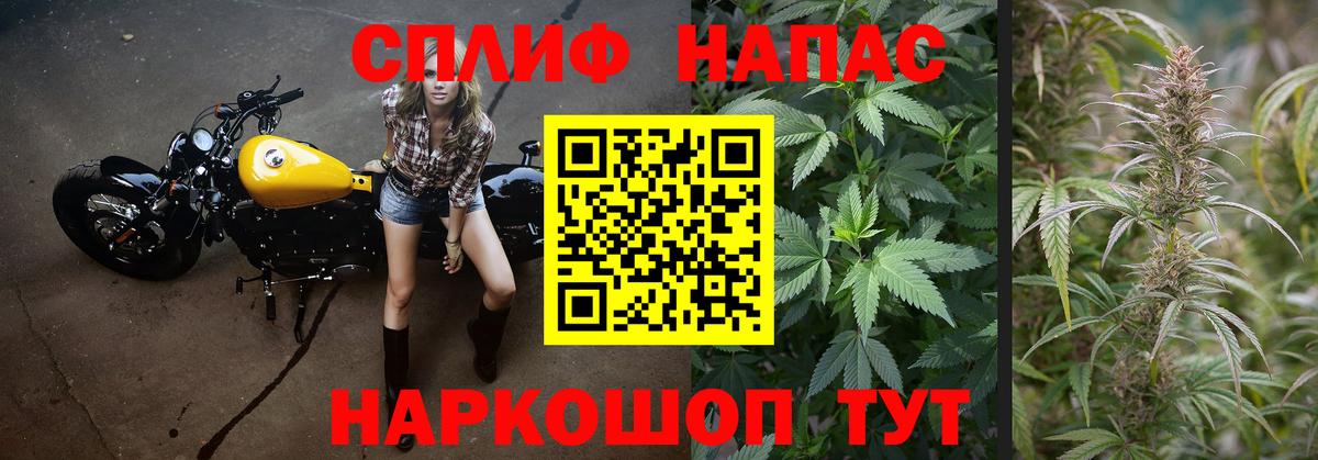 МАРИХУАНА гибрид Симферополь